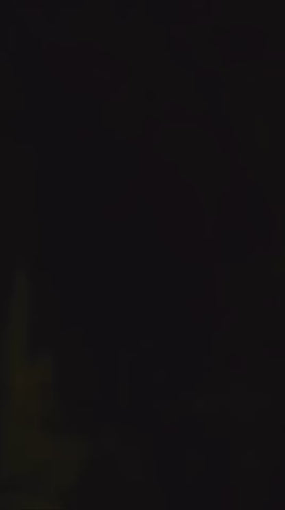 Full Gold Green Patch With Saree Hook Luxury  Phone Case